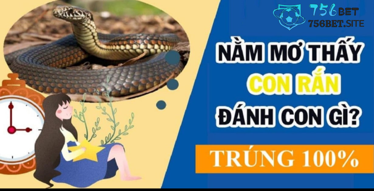 3. Phân Tích Ý Nghĩa Của Các Con Số Liên Quan Đến Rắn Nước