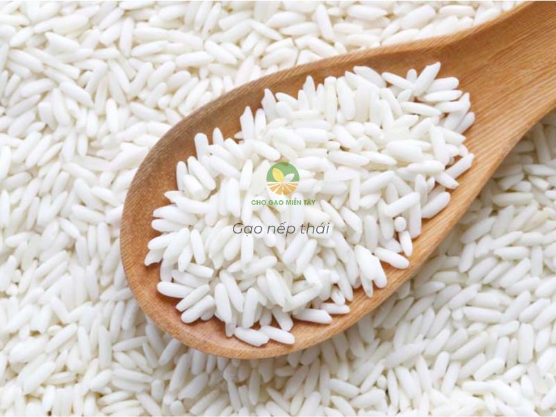 Gạo Nếp Thái - Chợ Gạo Miền Tây