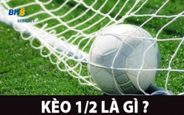 Kèo chấp 1/2 Là Gì? Chi Tiết Cách Chơi Cược Chấp 1/2 88BKsut.com