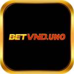 betvnduno betvnduno