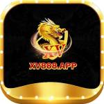 xv888app xv888app