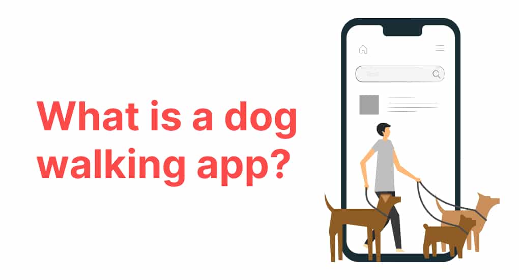 How to Develop an On-Demand Dog Walking App in 2024? - A2 Design