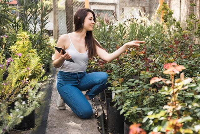 8 Garden Trends You’ll See Everywhere in 2024 | by Ideal Landscape Services | Jul, 2024 | Medium