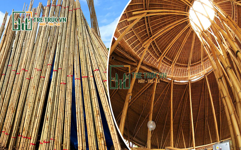 Xưởng Mây - Tre - Lá Uy Tín Tại TPHCM | Tre Trúc VN