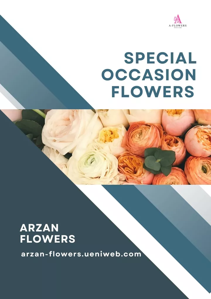 PPT - Stunning Special Occasion Flowers from Arzan Flowers PowerPoint Presentation - ID:13534064