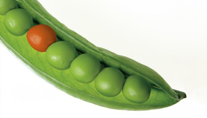 Standout Marketing - Marketing Digest