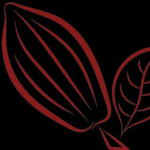 Nusantara Cocoa
