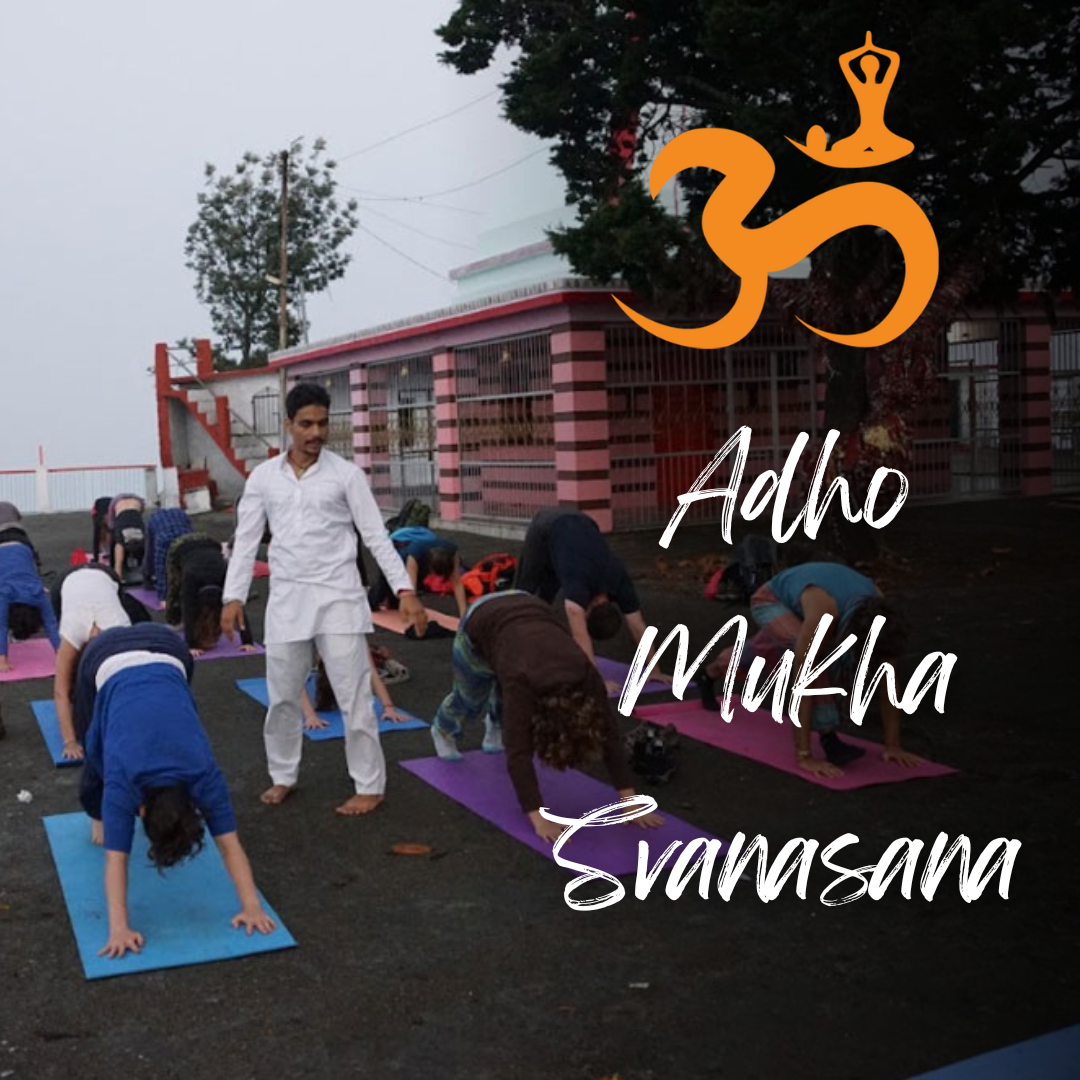 Adho Mukha Svanasana: The Downward-Facing Dog Pose | by Julia Cortia | Oct, 2024 | Medium