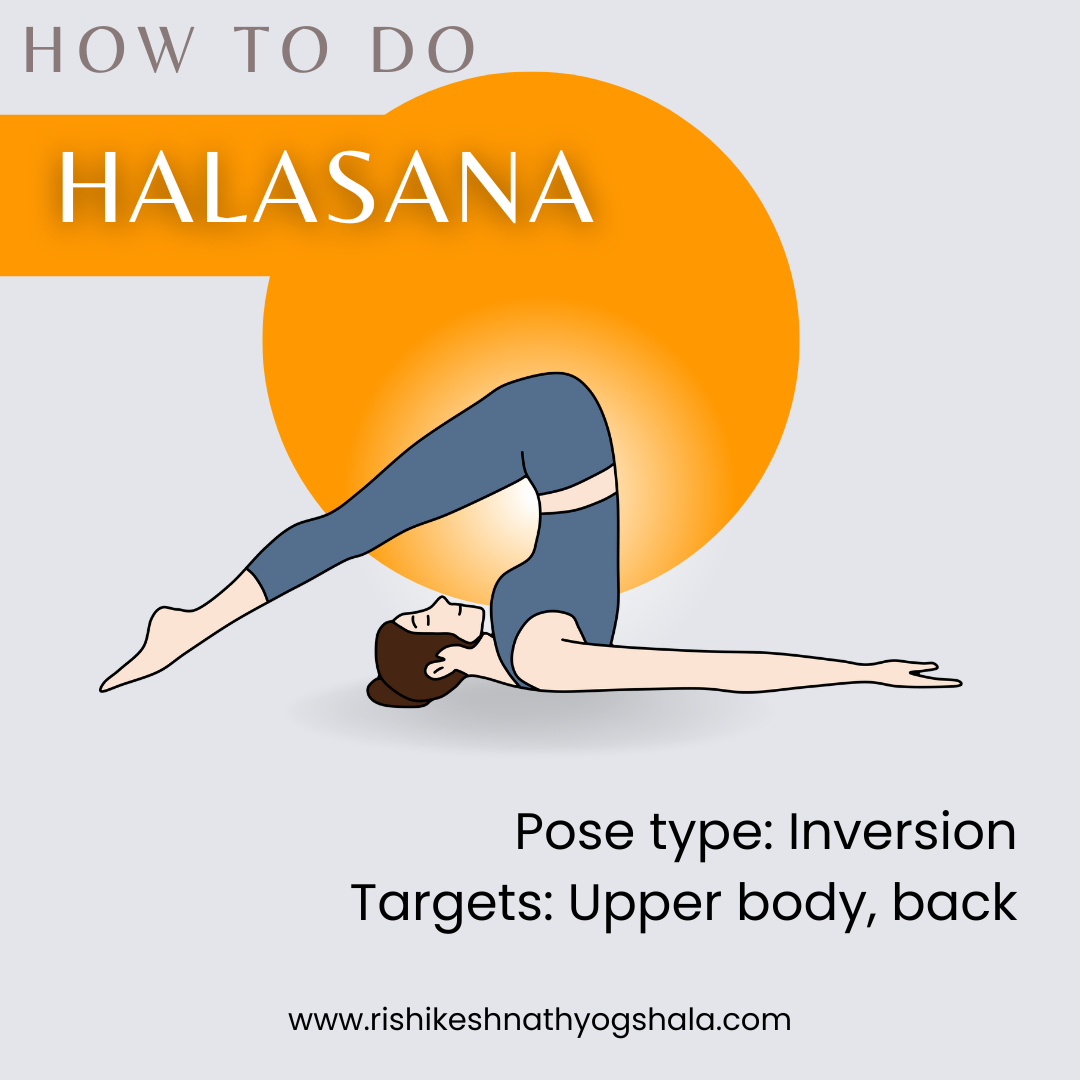 How to Do Halasana: A Step-by-Step Guide to Plow Pose | by Julia Cortia | Oct, 2024 | Medium