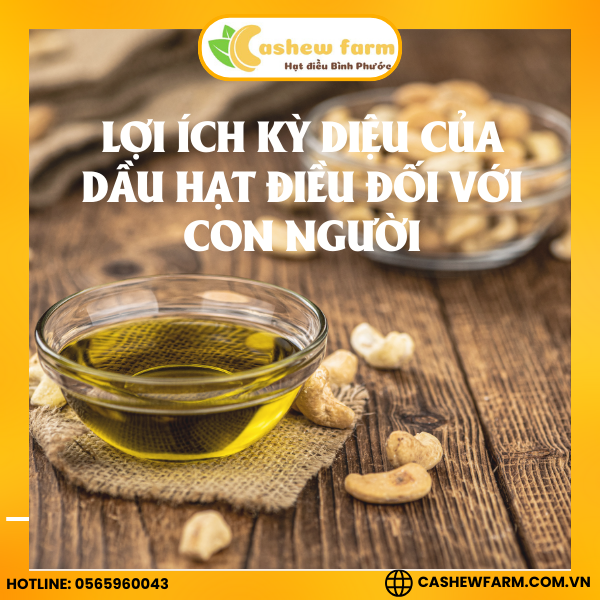 1 trong những lợi ích kỳ diệu của dầu hạt điều đối với con người - Cashew Farm