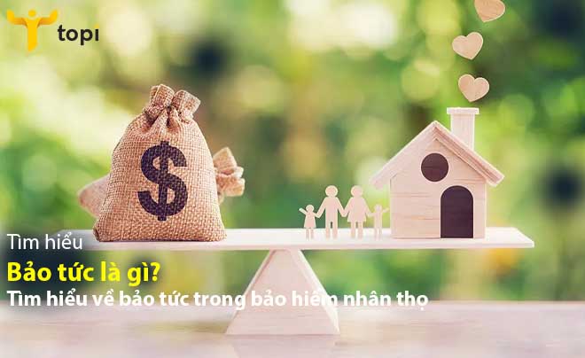 Bảo tức là gì? Tìm hiểu về bảo tức trong bảo hiểm nhân thọ