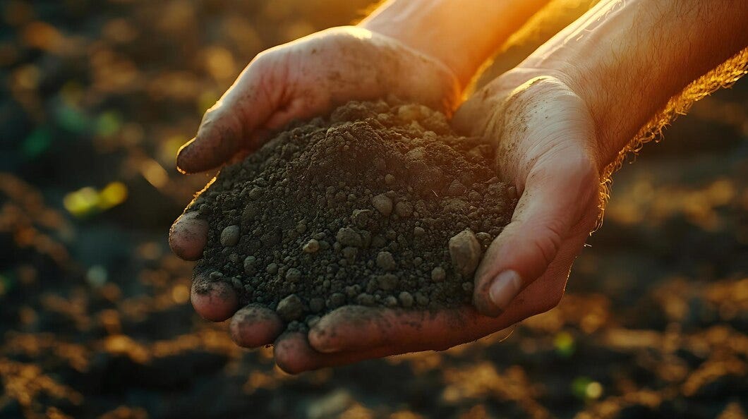 How the Price of Fertiliser Impacts Global Food Security | by Humusoilireland | Jan, 2025 | Medium