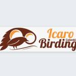 Icaro Birding