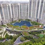 Shakeel Niazi Properties