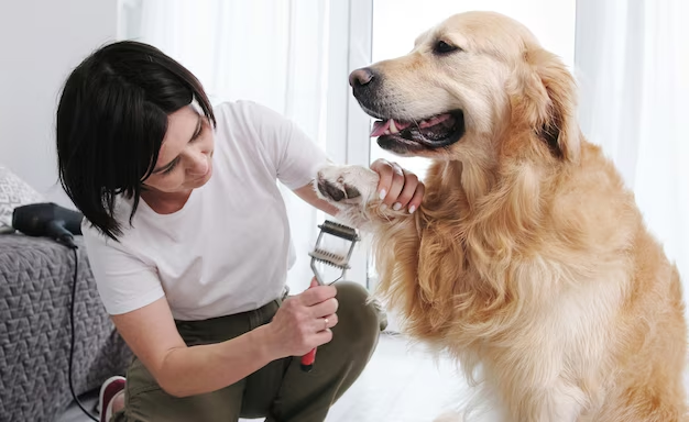 The Best Dog Walkers in New Orleans: Reliable Care for Your Furry Friend | by K9 Second Line | Feb, 2025 | Medium