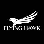 Flying Hawk