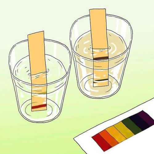 Why and How to Measure Water pH - Renke