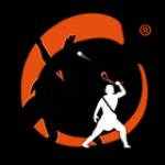 Krav maga fit