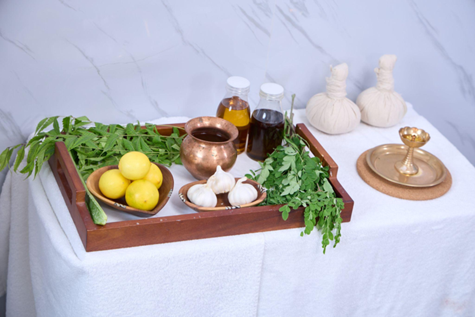 The Healing Touch: How Qualified Ayurveda Doctors Can Give You Holistic Healing