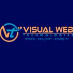 visual web