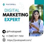 buypaypalaccountsee Pvatopsell