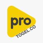 ProtoGel Bandar Togel Online