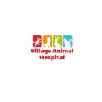 Village Animal Hospital