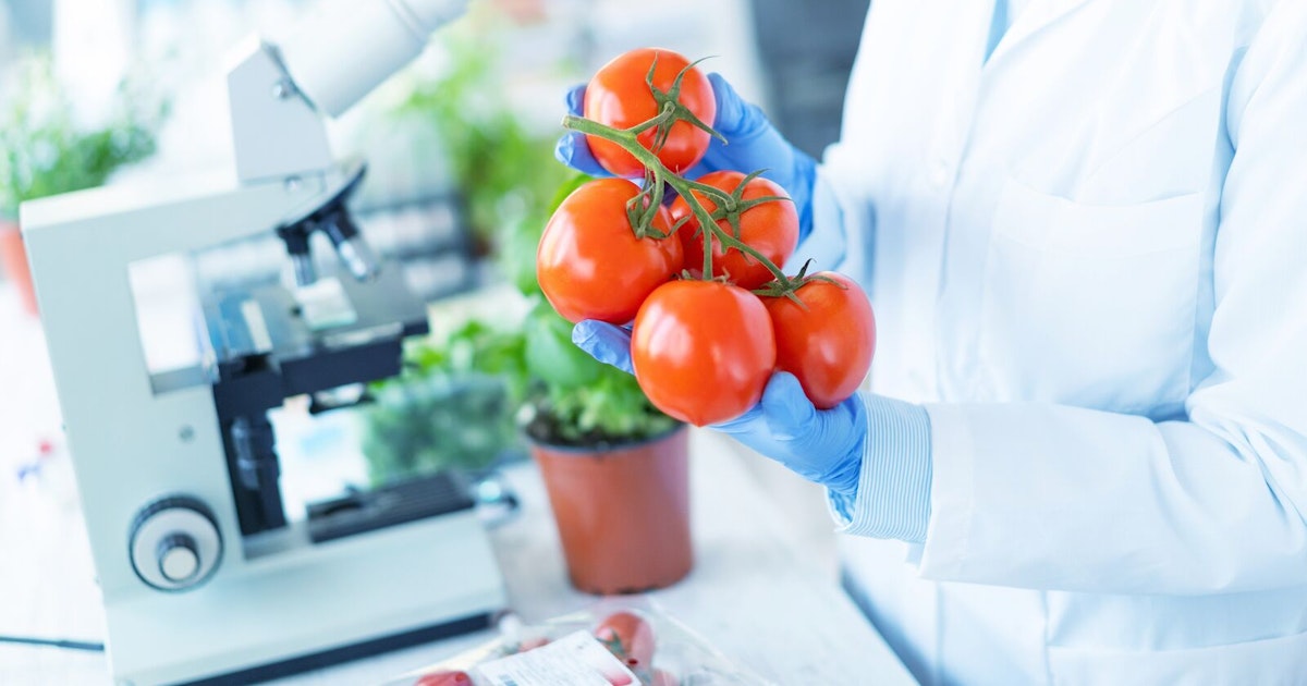 SQF Certification in India | Food Safety & Quality - SGS India
