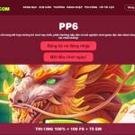 PP6 oninecom