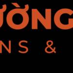 Quạt Điện Vina Vina