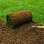 Pikai Das Shepparton