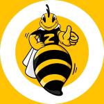 ZOOM CREDIT
