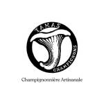 Tamas champignons