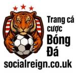 Trang cá cược bóng đá Reign Reign