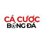 Top Web Cá Cược Bóng Đá An Toàn