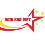 Ngôi Sao Việt Máy đếm tiền