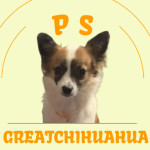 Ps great chihuahua