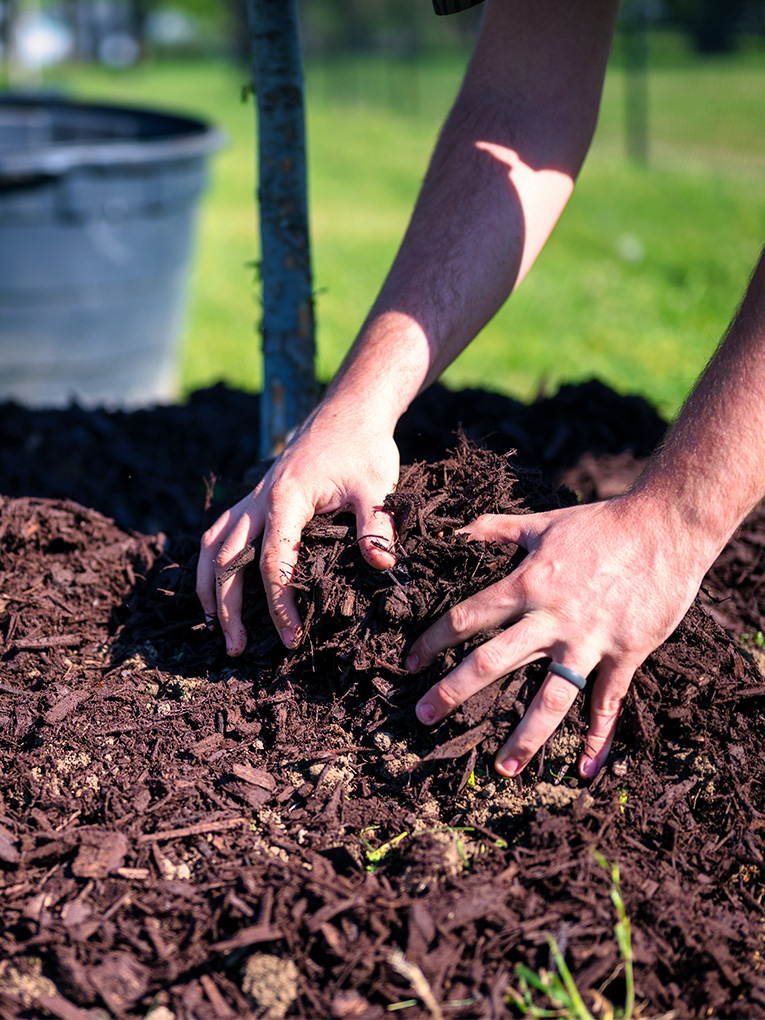 Mulching – GreenGo Garden Service