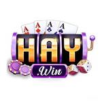 Haywin Nhà Cái Hàng Đầu