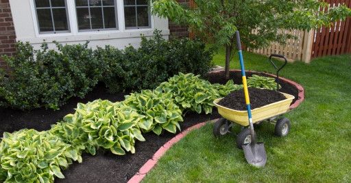 Landscaping Services jassco.ae | Facilities Management Services