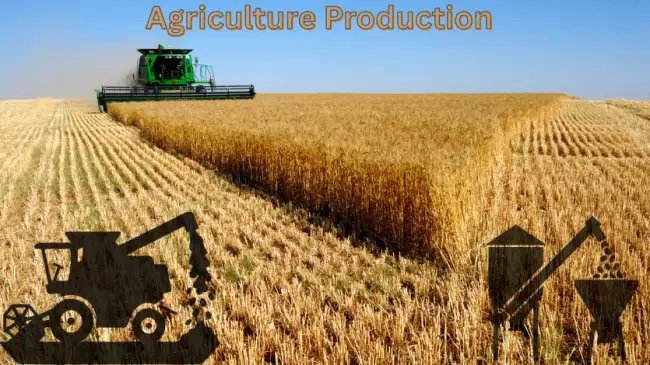 खेत से खुशहाली तक agriculture production से किसान की मेहनत का सुनहरा सफ़र