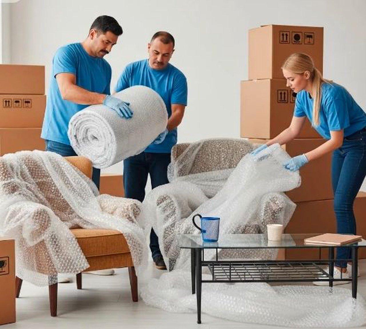 Removalists Sydney to Canberra: How to Plan a Stress-Free Interstate Move | Articles | Robin Removalist | Gan Jing World - Technology for Humanity | Video & Movie Streaming