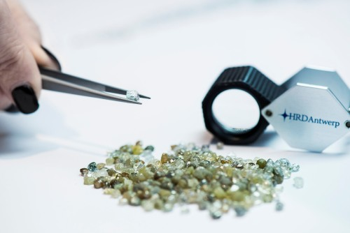 Complete Guide to Choosing a Professional Rough Diamond Grading Course for Beginners – Site Title