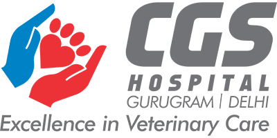 Best Emergency Veterinary Hospital in Gurgaon | CGS Hospital