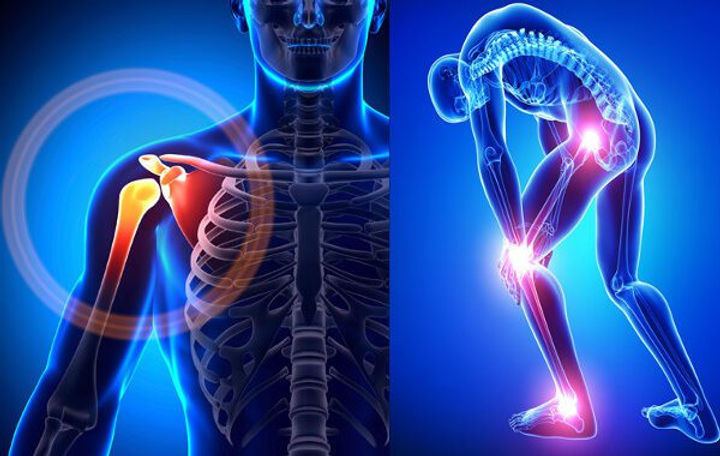 The Role of Ortho Pharmaceutical Company in Reproductive Health Advancements