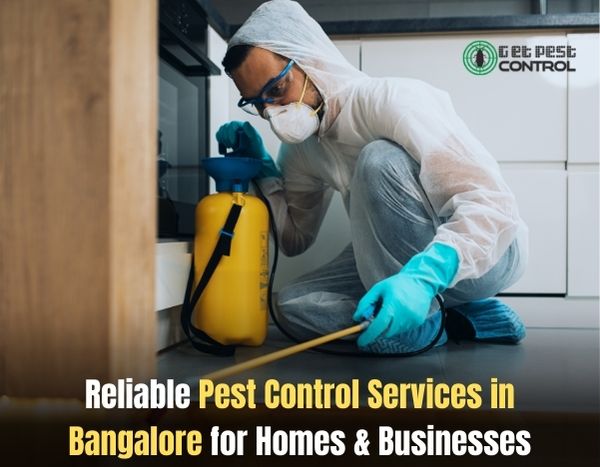 Pest Control Bangalore: Top Services & Free Quotes