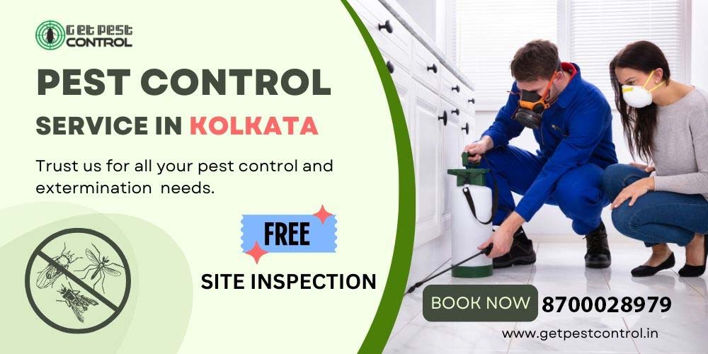Top Pest Control in Kolkata | Best Rates & Safe Solutions