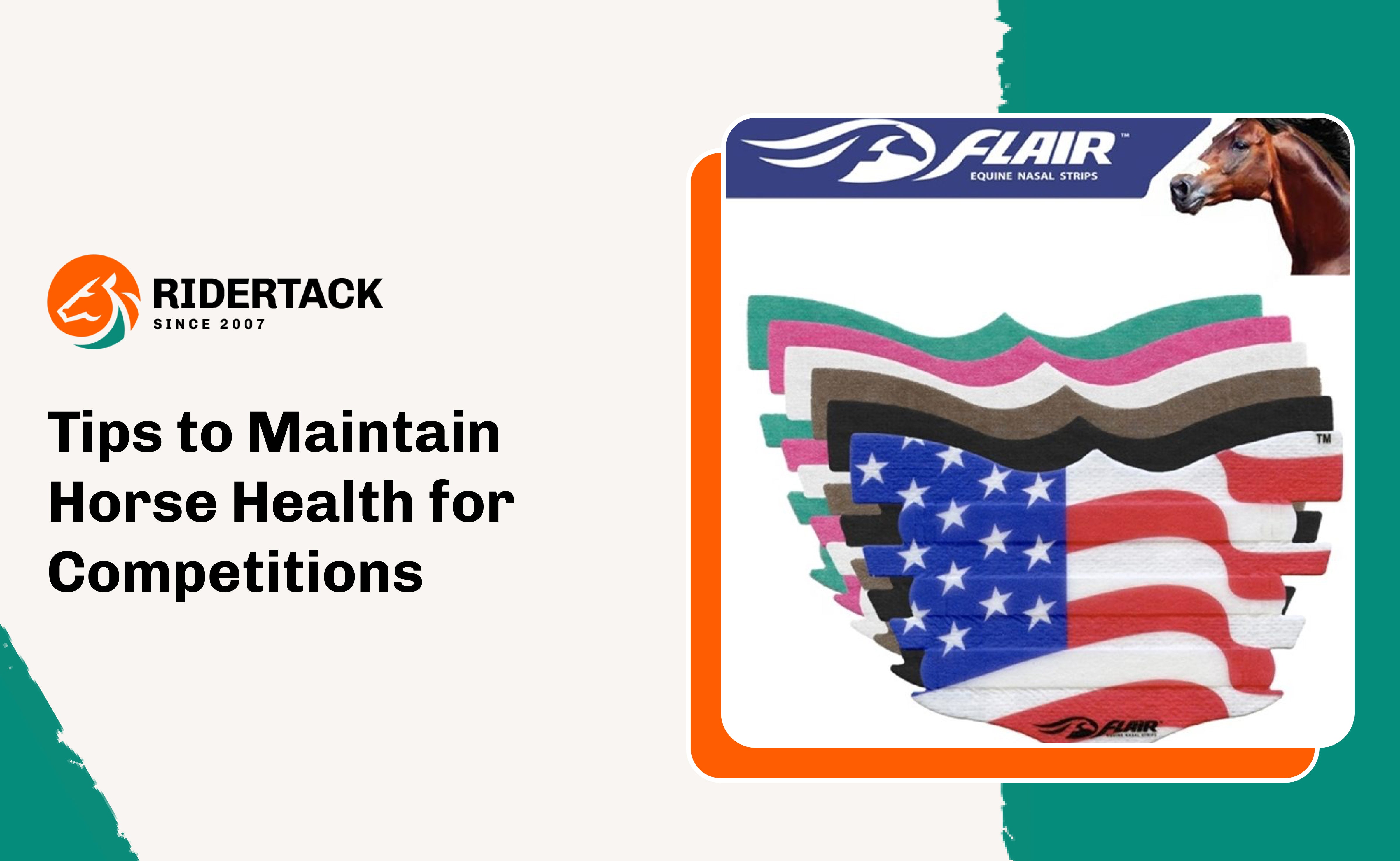 Tips to Maintain Horse Health for Competitions  – Rider Tack