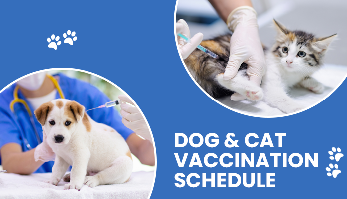 Dog Vaccination Schedule | Cat Vaccination Schedule