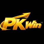 PKwin Ltd